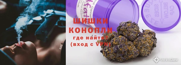 индика Зерноград
