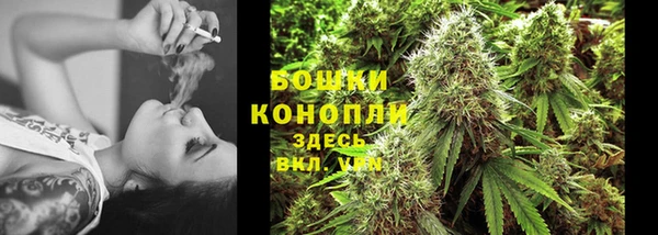 дурь Каменка